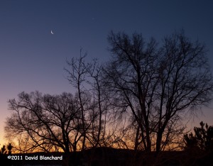 Crescent moon and Venus in morning twilight.