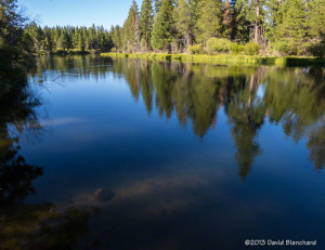 A flat-water section along the Deschutes River Trail.