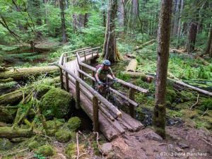 A wider and rideable bridge along the McKenzie River Trail.