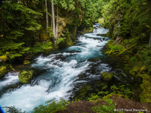 McKenzie River.