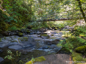 A side creek and bridge along the Middle Fork Willamette River Trail.