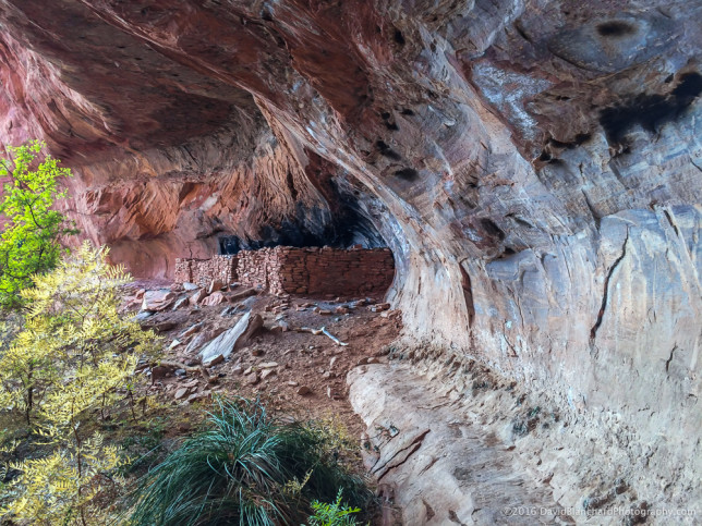 Cliff dwelling in a canyon near Sedona.