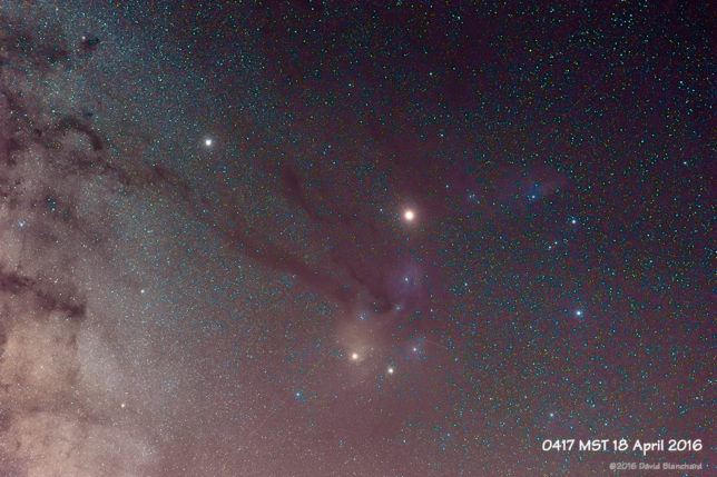 Rho Ophiuchi.