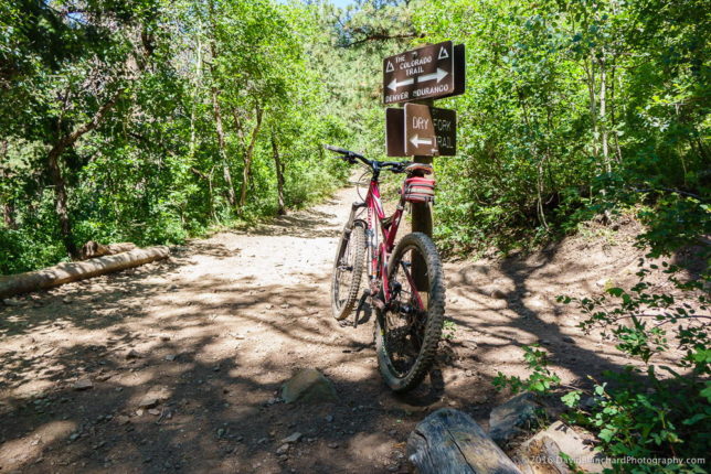 Dry Fork and Colorado Trail intersection. The map says this is "unmarked" and "easy to miss." Need to update the map!