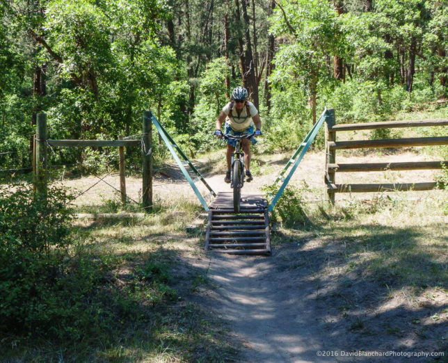 Love those cattle guard crossings!