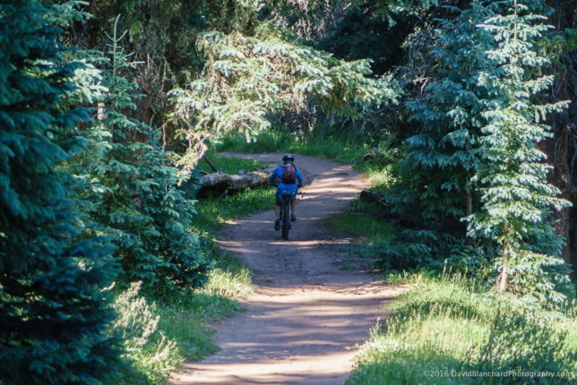 Smooth and flowy double-track along Lower Hermosa Creek trail.