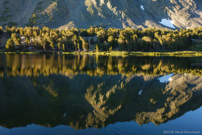 Morning reflections in Frog Lake.