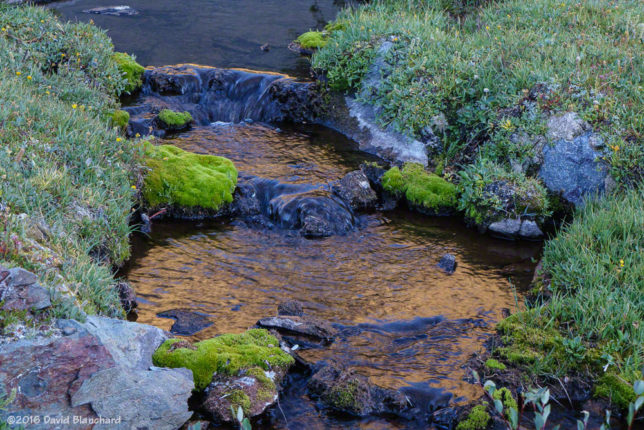 A small snow-fed stream reflects sunset colors.