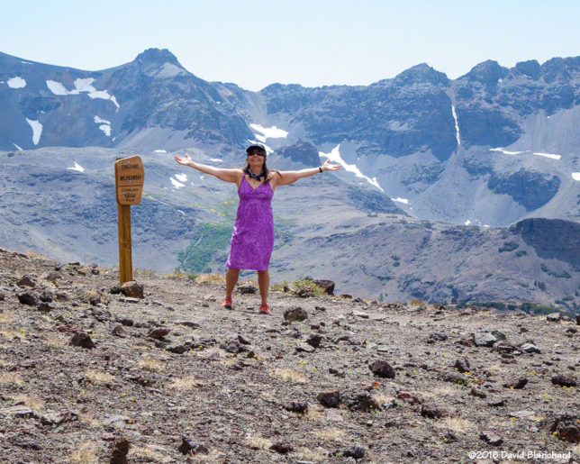 On the Pacific Crest Trail south of Sonoran Pass.