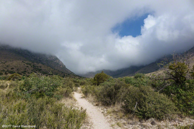 Clouds envelop the Guadalupe Mountains.