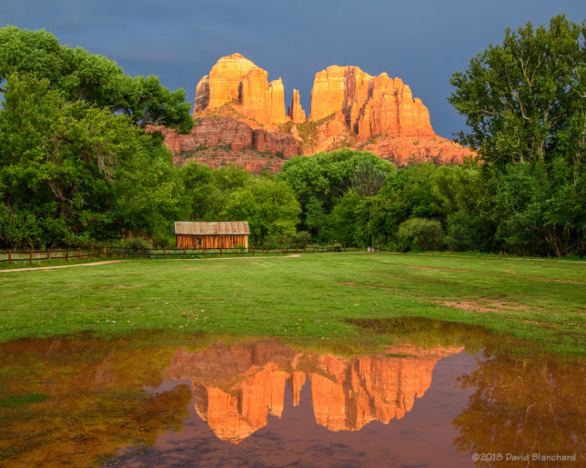 The setting sun illuminates Cathedral Rock which is reflected in a small pond.