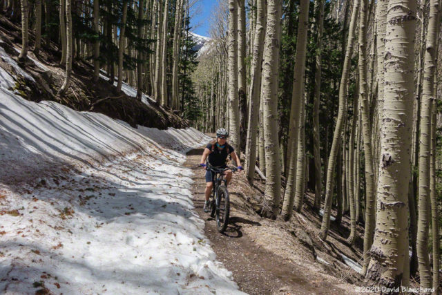 Mountain biking down the Waterline Road.