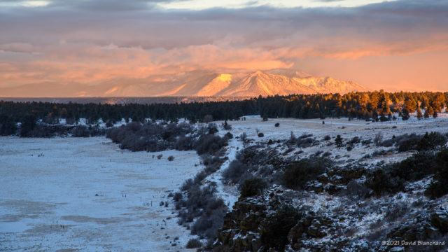 Early morning sunlight illuminates new fallen snow on the San Franciso Peaks.