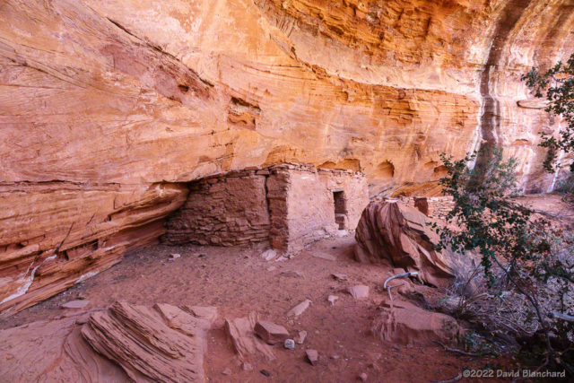 Cliff dwelling in Red Rock--Secret Mountain Wilderness.