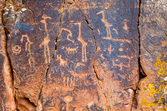 The panel depicting cranes at Crane Petroglyph Site at V Bar V Ranch.