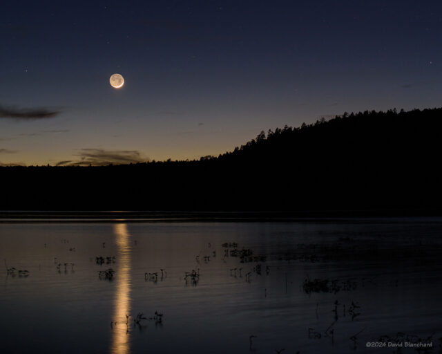 Moonlight reflected in Upper Lake Mary from a crescent Moon.