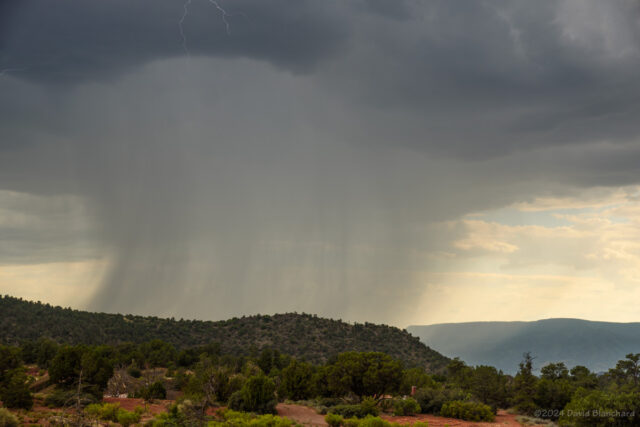 Heavy rain falling from a monsoon thunderstorm.