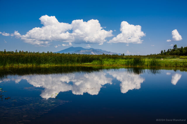 Reflection of developing clouds in Marshall Lake, Arizona.