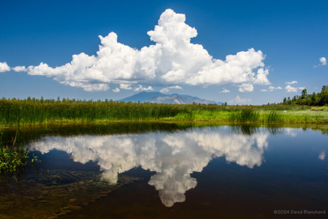 Reflection of developing clouds in Marshall Lake, Arizona.