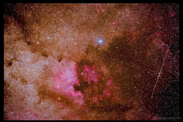 North America Nebula in the constellation Cygnus.