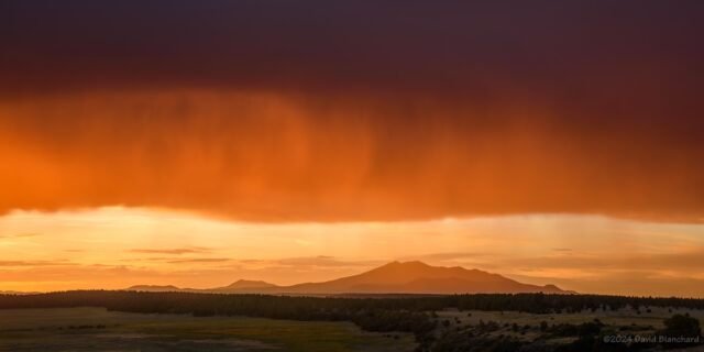 A curtain of light rain from a dissipating thunderstorm is brilliantly illuminated by the setting sun.