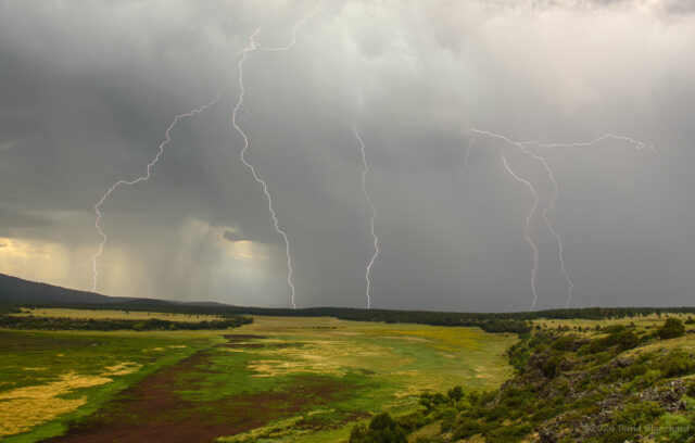 Composite image of multiple lightning strikes over Mormon Lake basin.