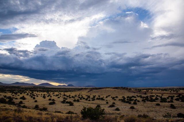 Late-afternoon convection develops over the San Francisco Volcanic Field.