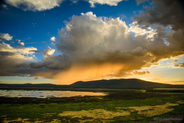 The setting Sun brilliantly illuminates the rain falling from a small shower.