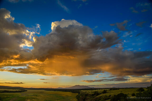 The setting Sun brilliantly illuminates the rain falling from a small shower.