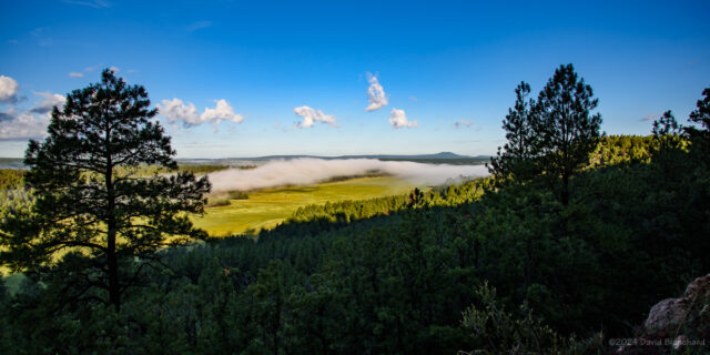 The fog dissipates over Lower Lake Mary.