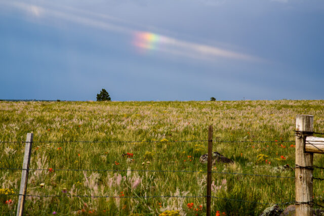 A telephoto view of the rainbow segment.