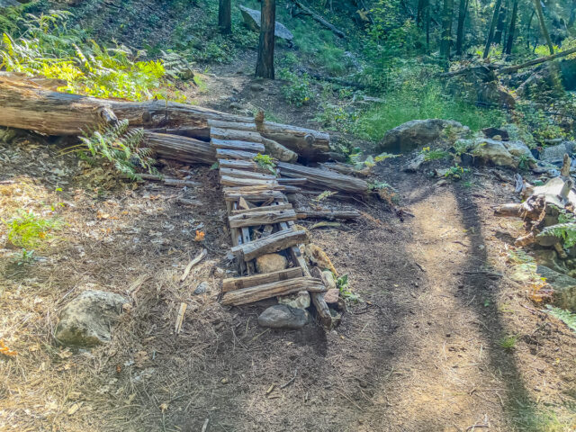 This used to be a fun ramp for mountain bikes up and over the downed tree. But time has taken its toll and both the ramp and tree .