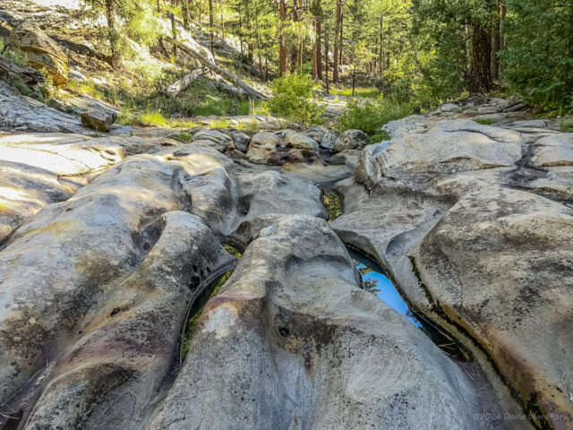 Water flows through erorded channels in the sandstone in Kelly Canyon.