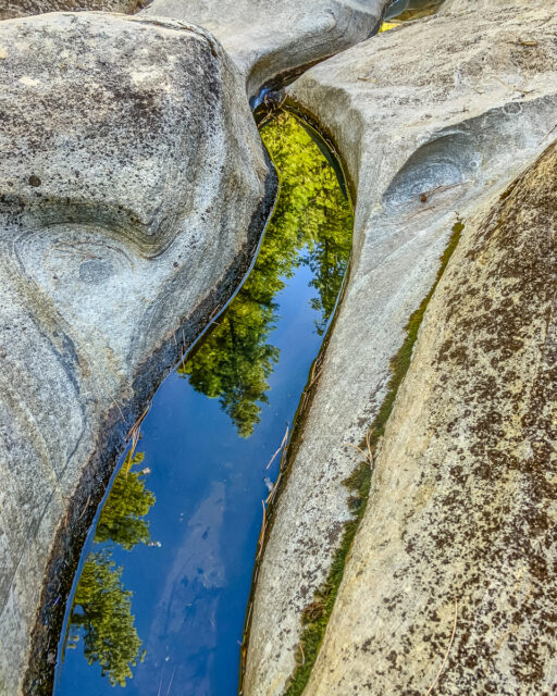 Trees and sky are reflected in the narrow and shallow pool.