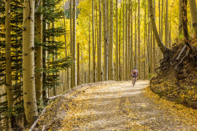 Biking back down the Waterline Road. It's about 9 miles of downhill. Easy!