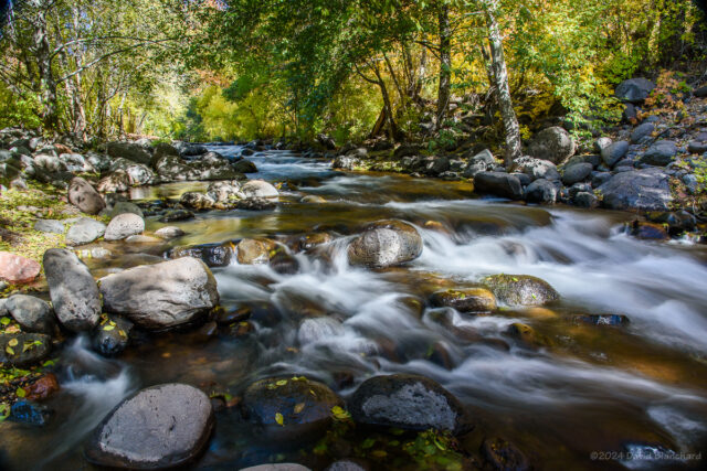 A shady stretch of Oak Creek with fall colors.