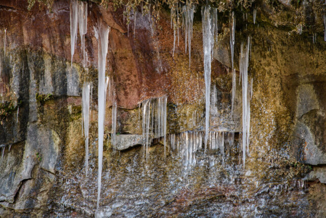 Icicles hang from the canyon wall in West Fork Oak Creek.