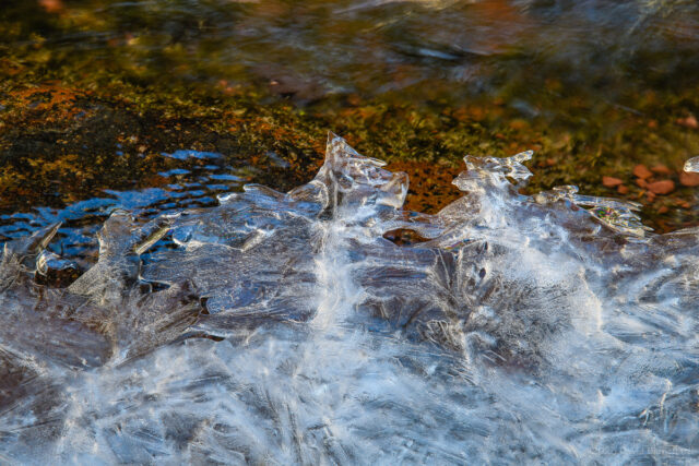 Intricate designs in the ice abound in the canyon. This was also an attempt at focus stacking.