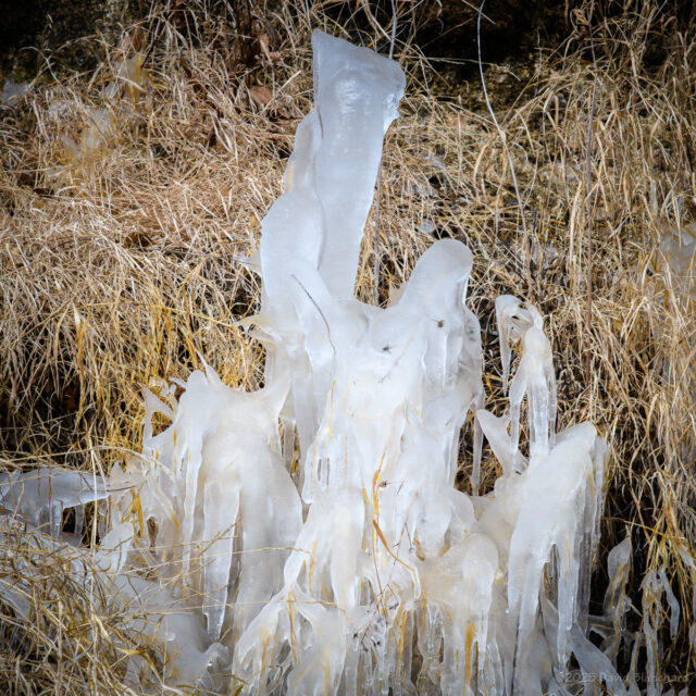 Ice sculpture from dripping icicles above.